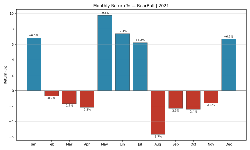 BearBull 2021 Monthly Returns