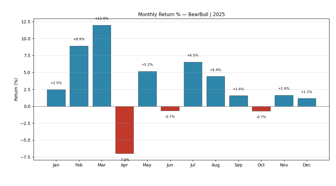 BearBull 2025 Monthly Returns